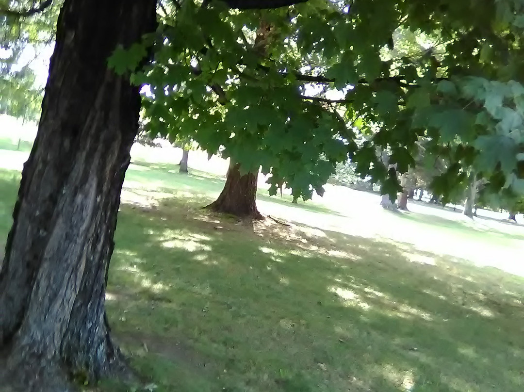 Franklin D. Roosevelt Presidential Library and Museum-海德公园必去景点