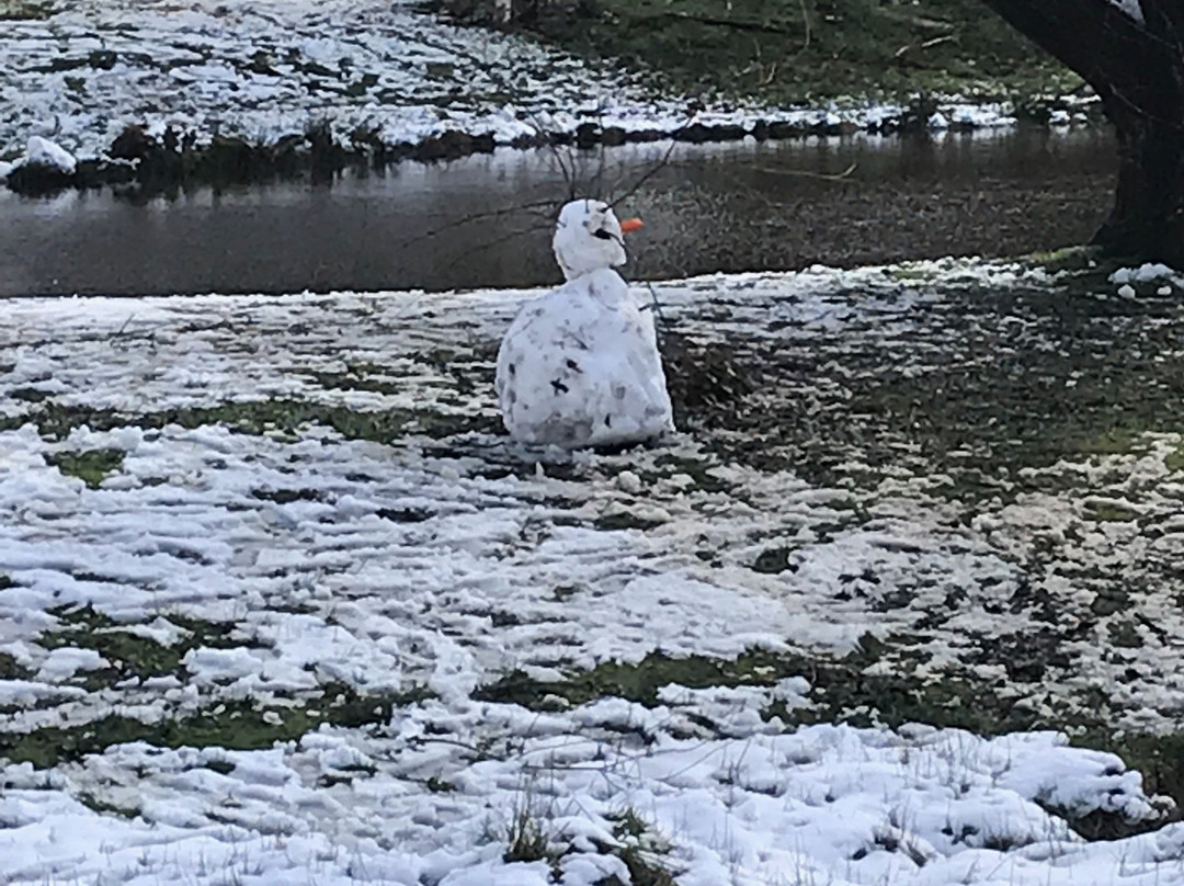 Quarry St Reserve-Trentham必去景点