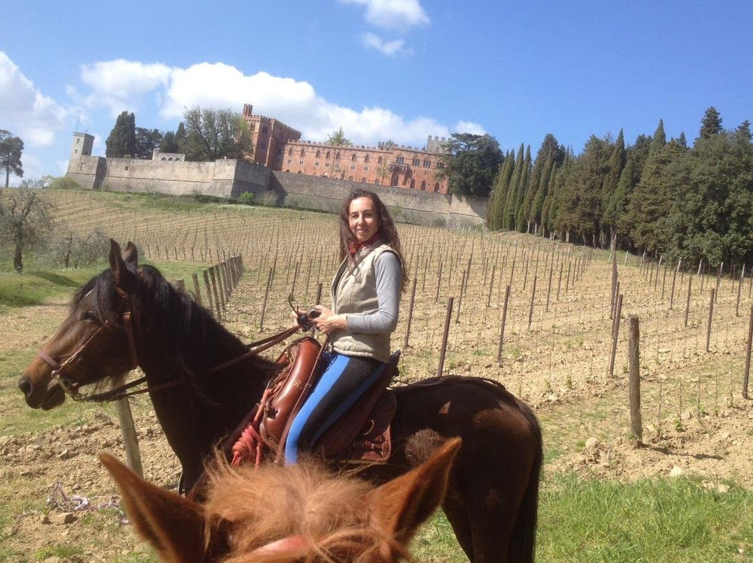 Centro Turismo Equestre Borgo Cignano景点图片