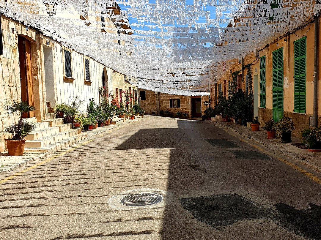 Alcudia Markt景点图片