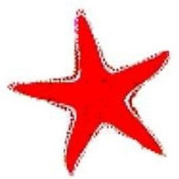 Tauchschule Poseidon Menorca-米诺卡必去景点