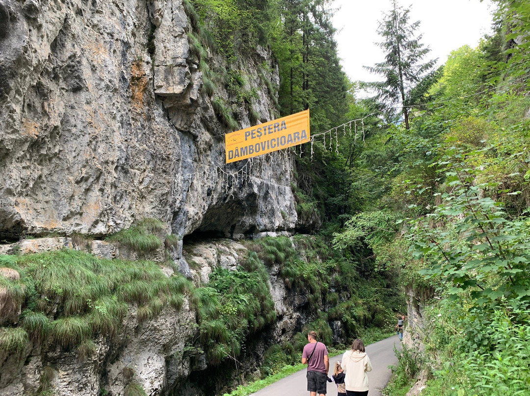 Dambovicioara Cave景点图片