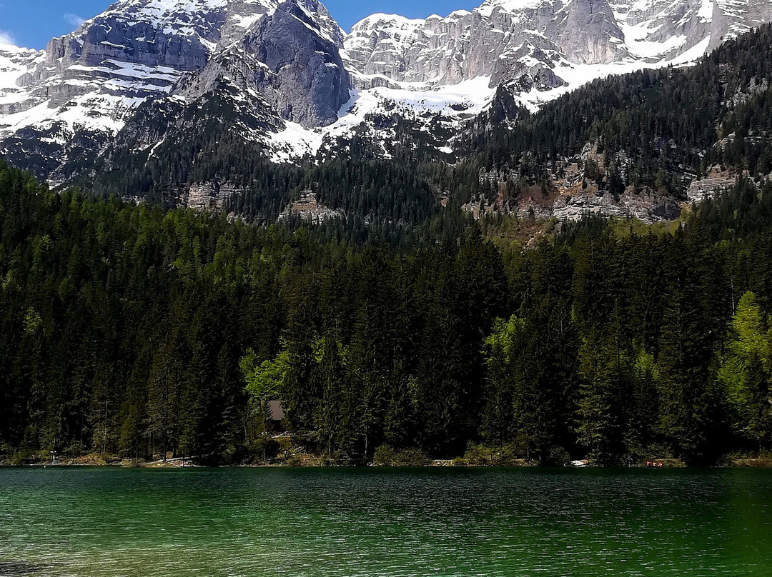Lago di Tovel景点图片