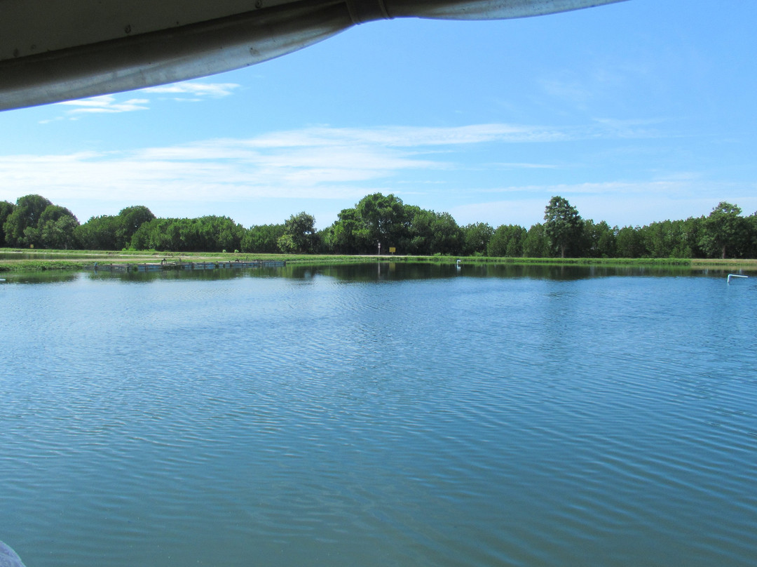 Laem Phak Bia Environmental Research and Development Project景点图片