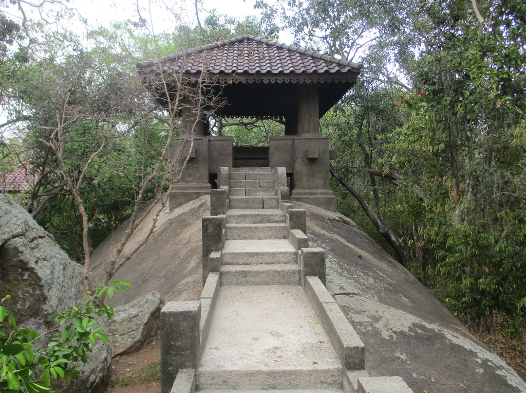 森林岩石花园度假村主图