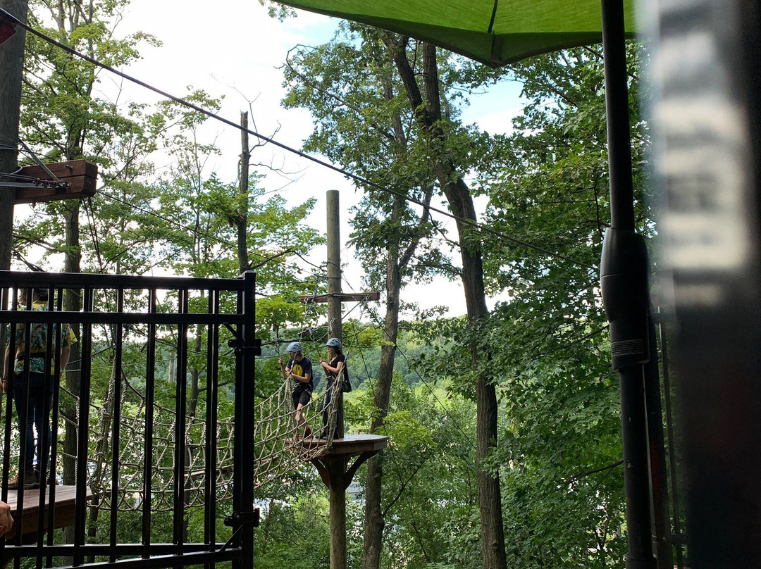 Essex County Treetop Adventure Course景点图片