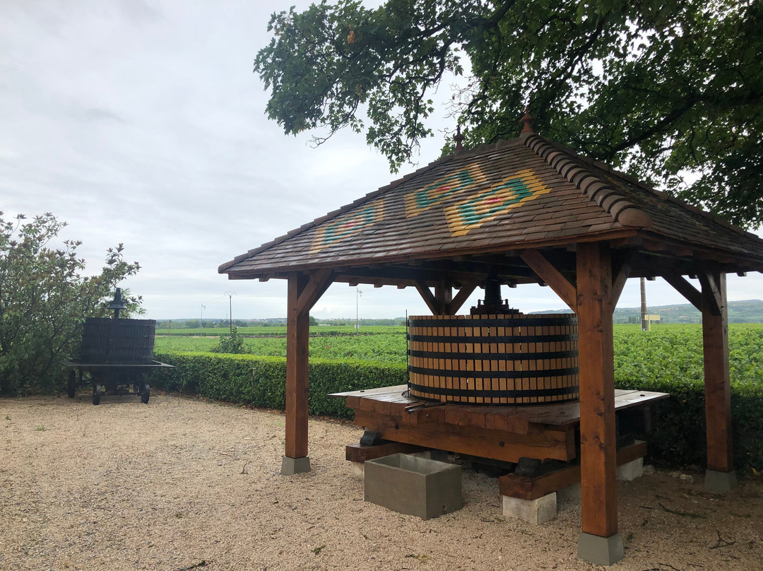 Domaine Bader-Mimeur-Chassagne-Montrachet必去景点