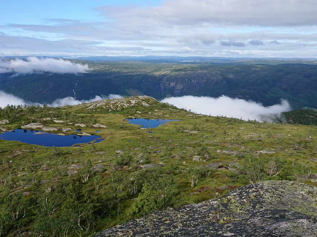 Ardalsknapen in Bygland景点图片