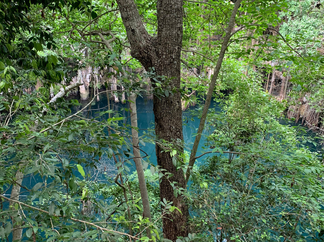 Cenote Yokdzonot-Yokdzonot必去景点