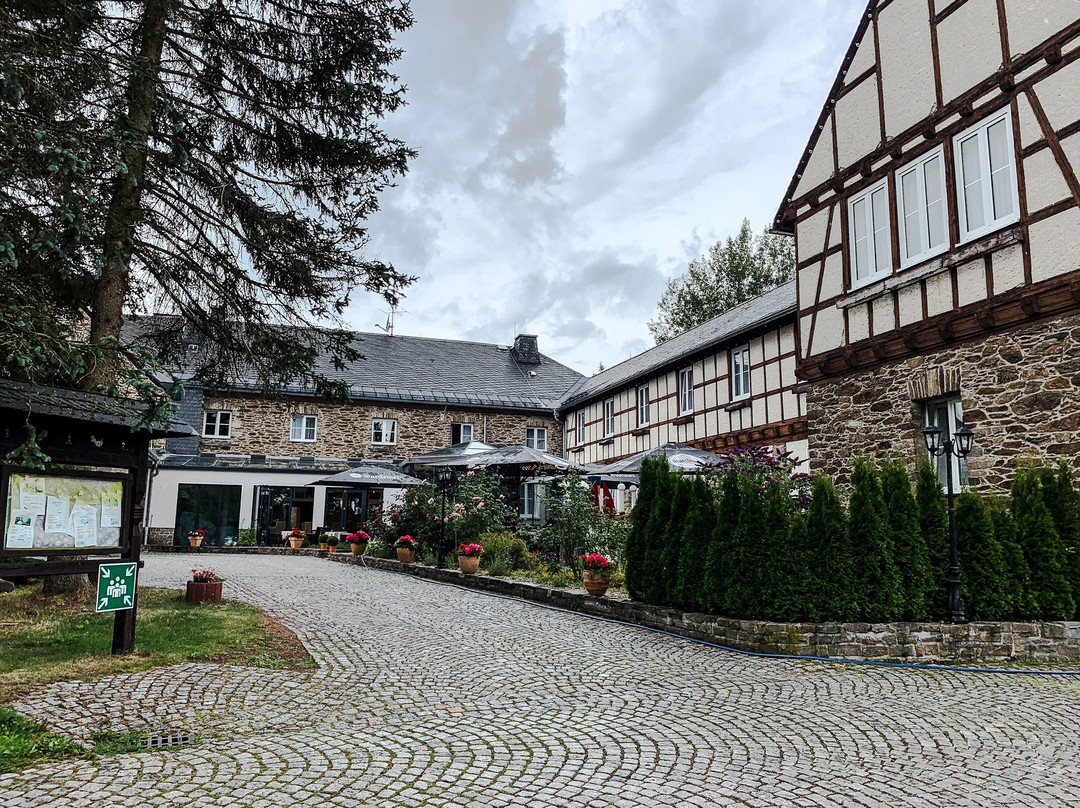 Sonnenhotel Hoher Hahn主图