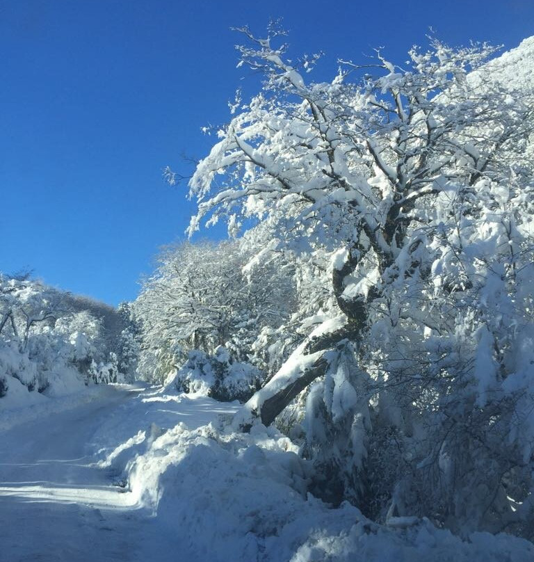 Centro de Ski Antillanca主图