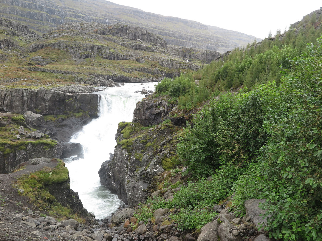 Sveinsstekksfoss-Djupivogur必去景点