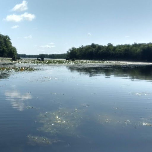 Kosir's Rapids Rafts景点图片