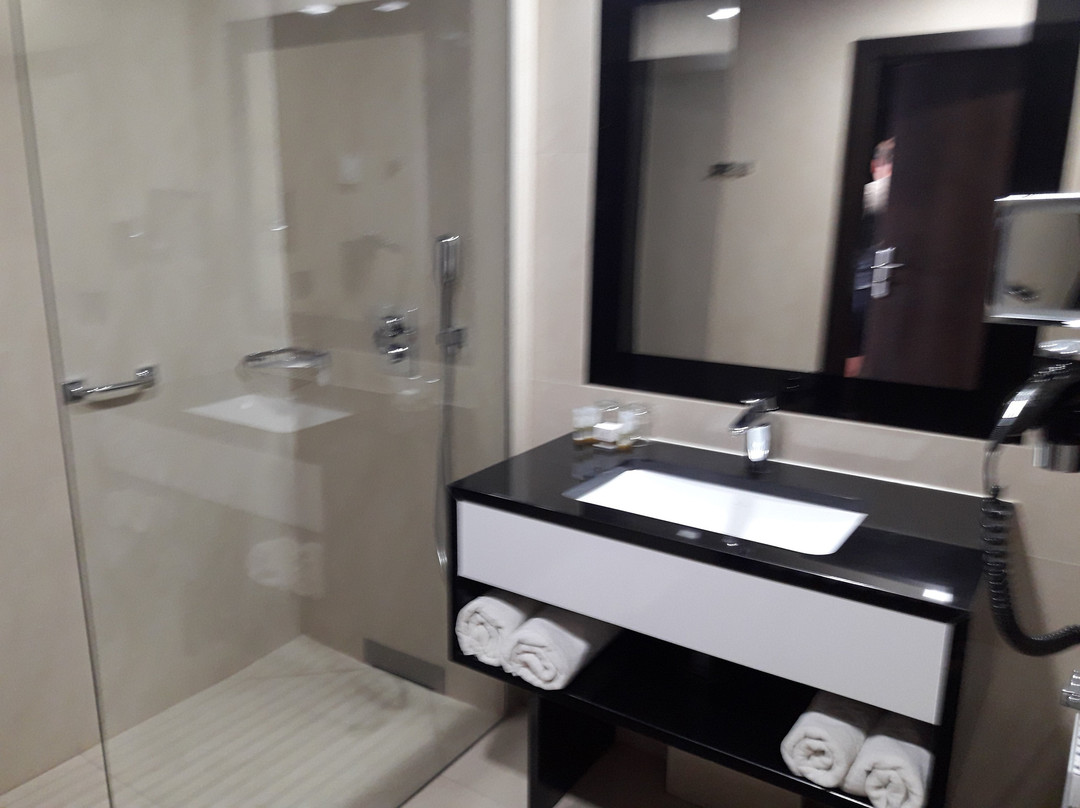 安姆巴什达尊享酒店主图