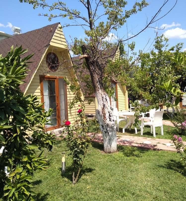 idavilla bungalow hotel主图