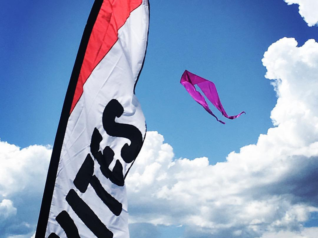 Livingston Kite Company-利文斯顿必去景点