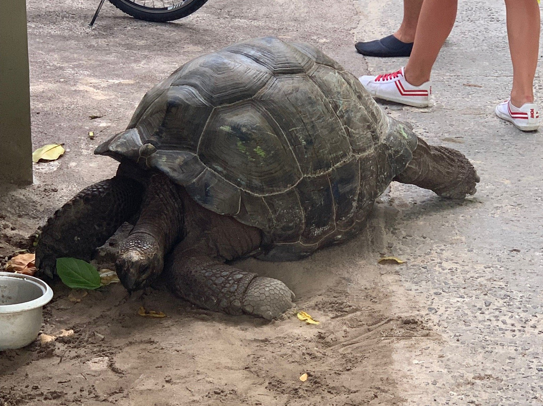 Belle des IIes Hotel主图