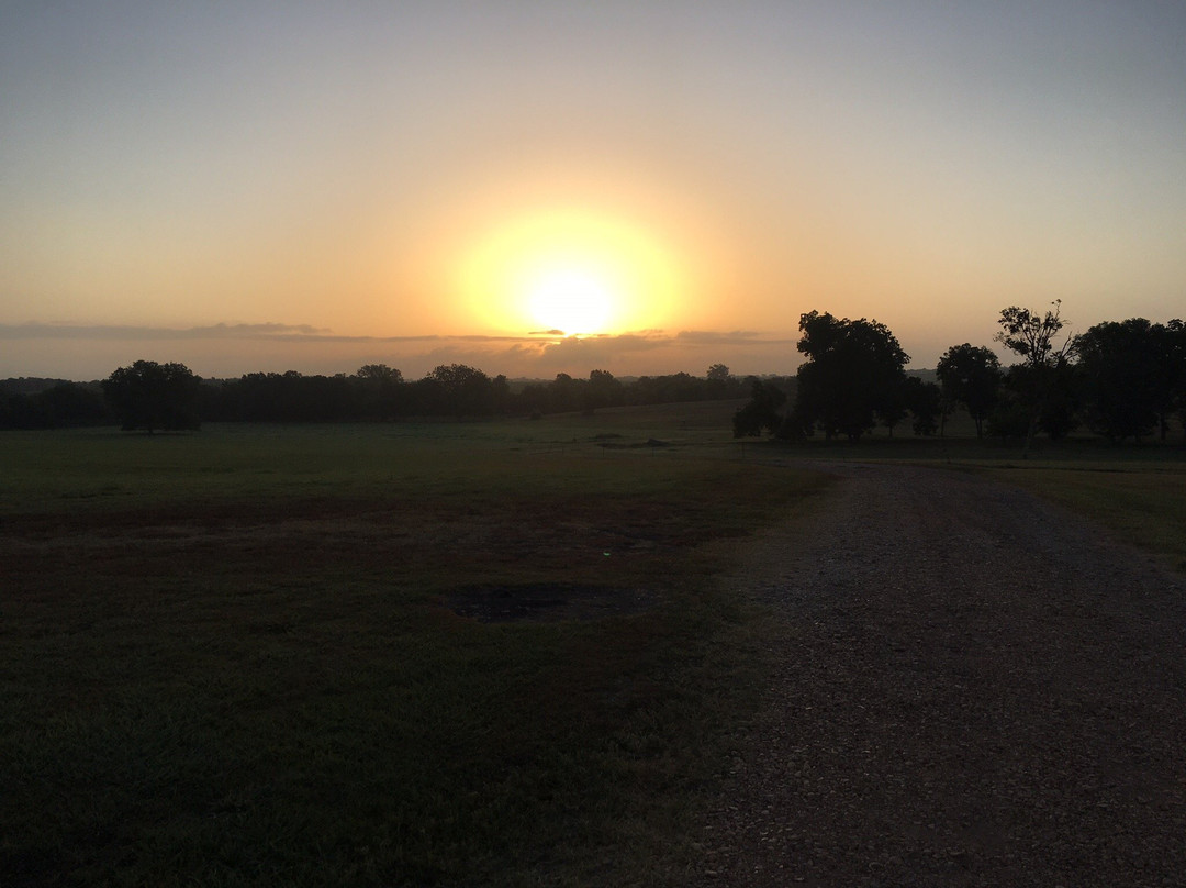 Wakefield Farms主图