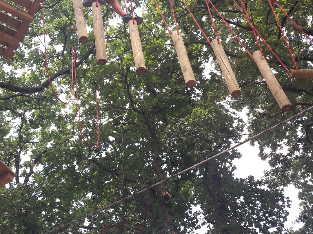 Parco Catone Adventure-Monte Porzio Catone必去景点