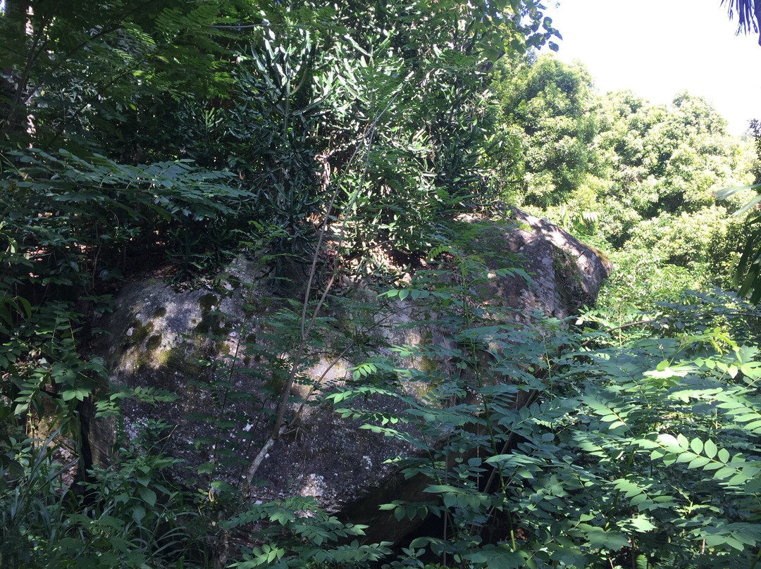 Green View Holiday Resort主图