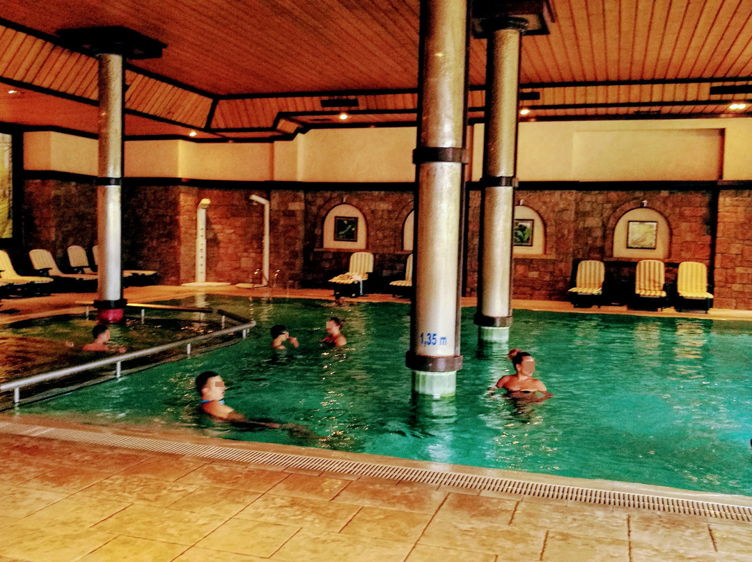 Maxi Park Hotel & Spa主图