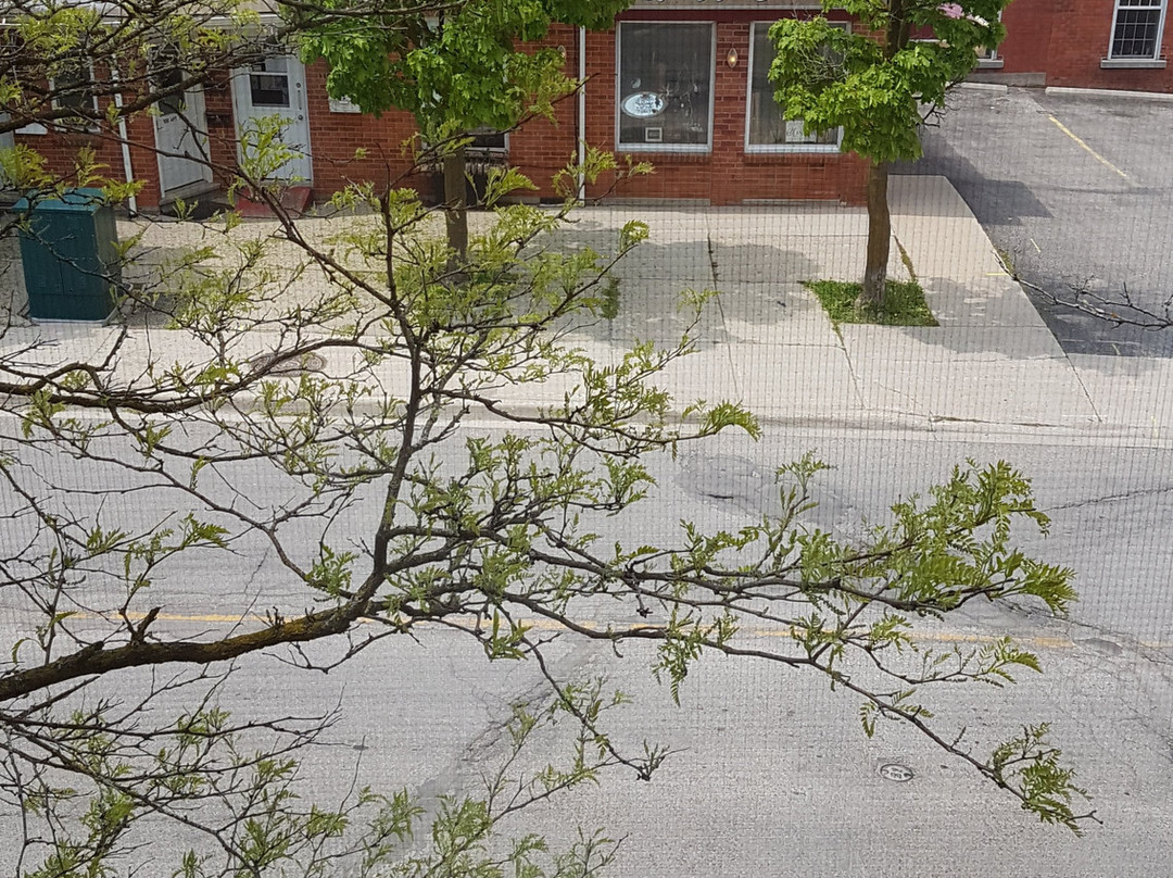 The Parlour Inn主图