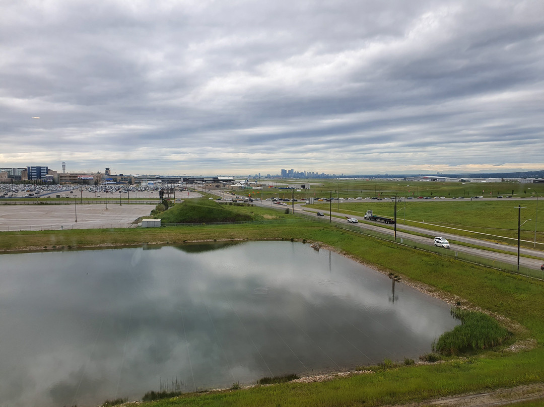 Homewood Suites by Hilton® Calgary-Airport, Alberta, Canada主图