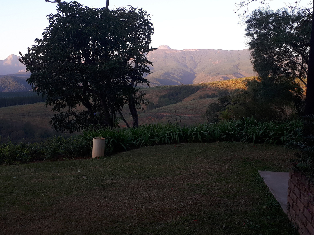 Granny Dot's Country Spot主图