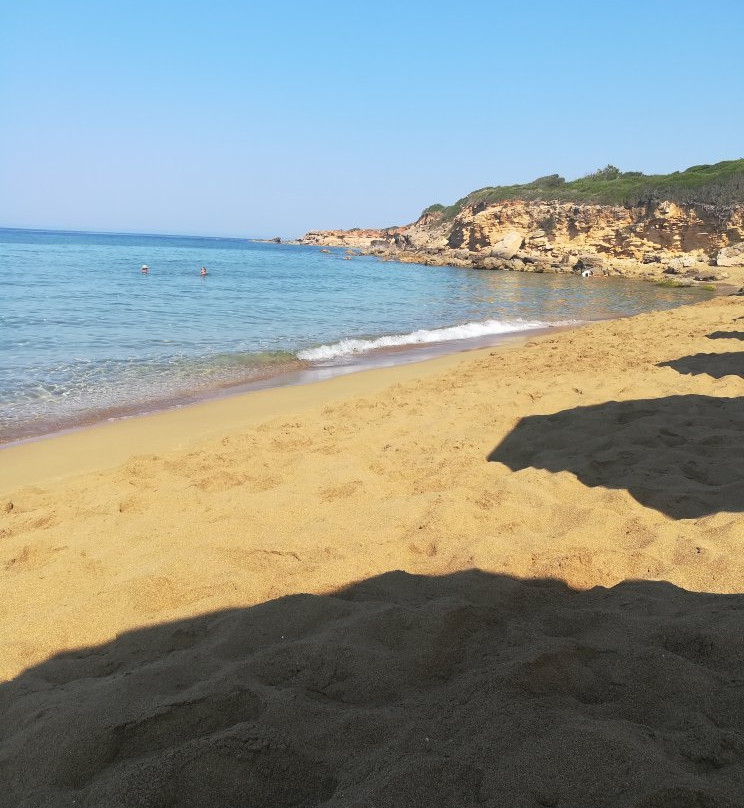 Paradise Studios and Apartments主图