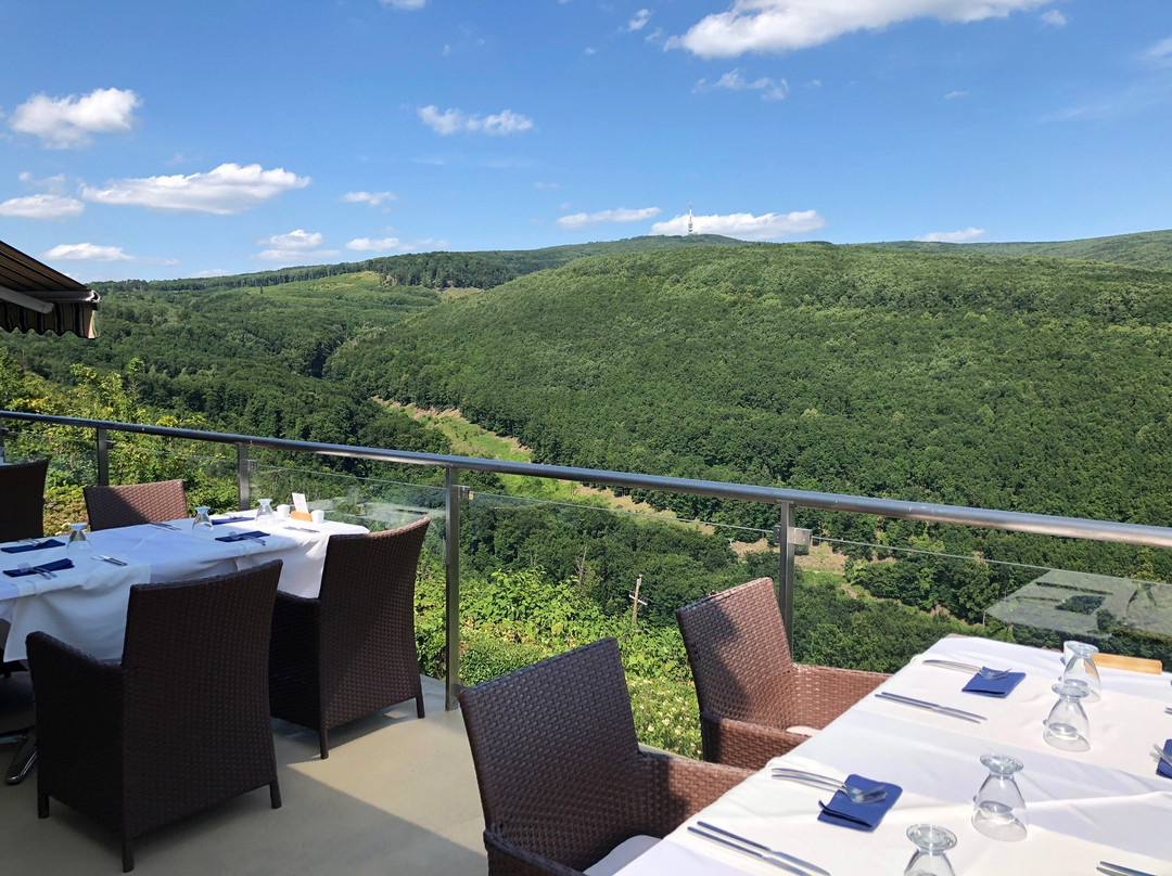 Hunguest Hotel Ozon主图
