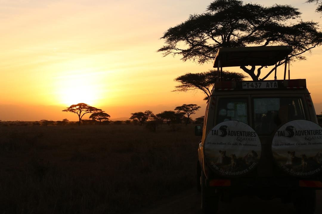 Tai Adventures and Safaris-阿鲁沙必去景点