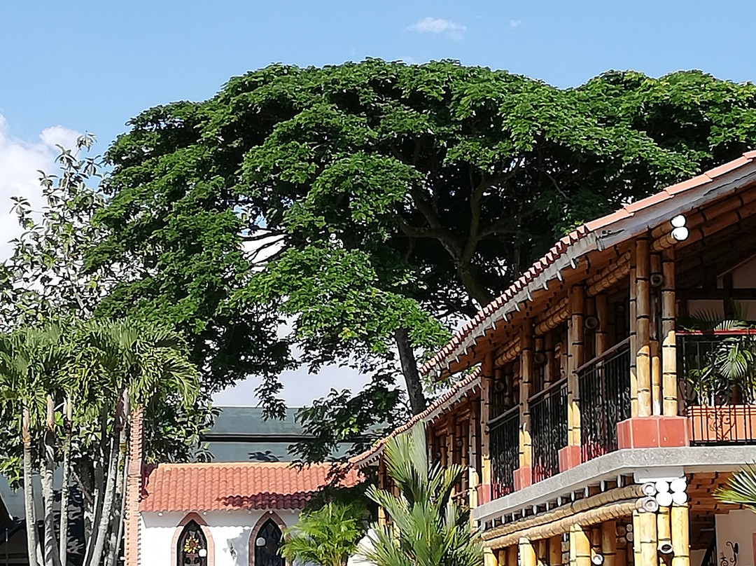 Las Camelias Hotel Campestre主图