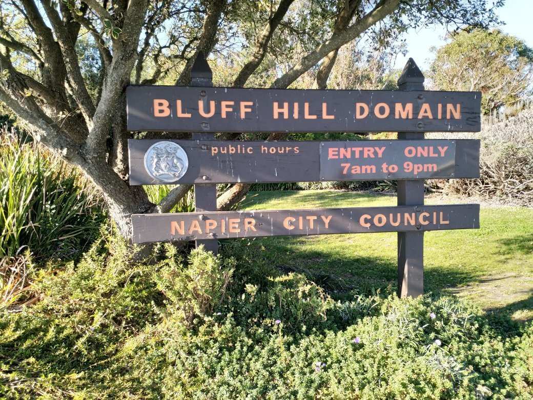 Bluff Hill Lookout景点图片