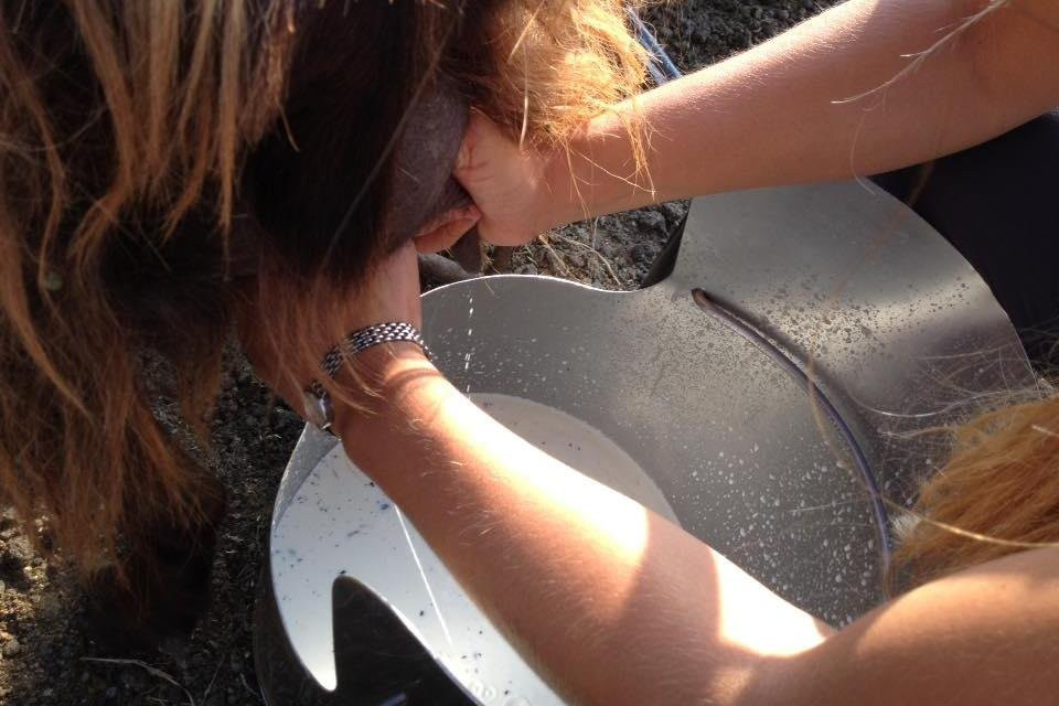 ANYWAYS EXPERIENCES-罗马必去景点