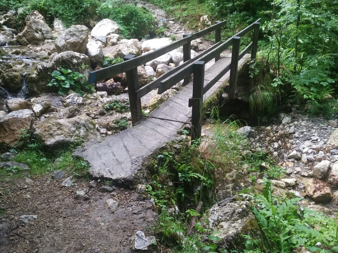 Parco Delle Fucine景点图片