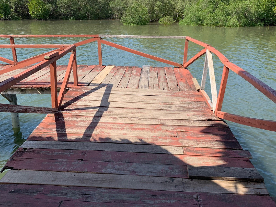 Mangrove Forest Batukaras景点图片