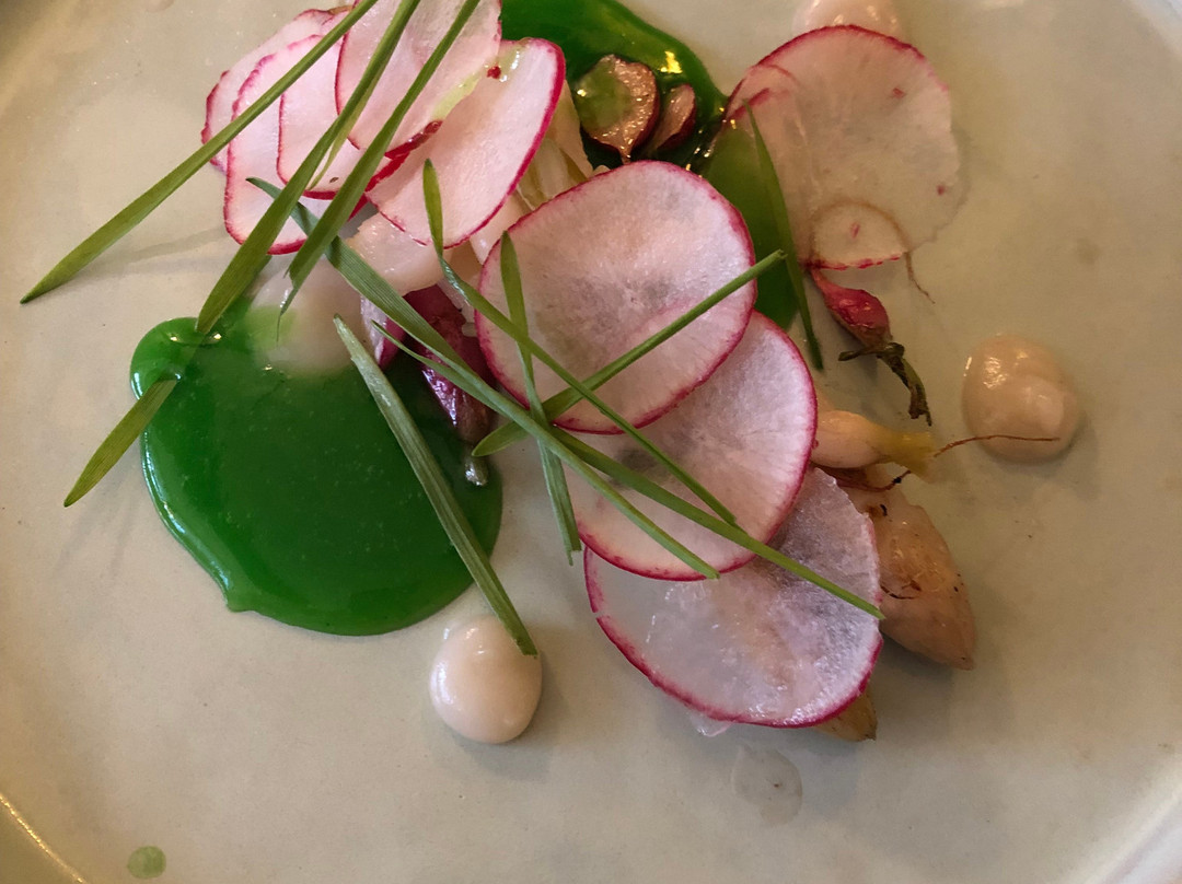 Adler Häusern Gourmet & Spa主图