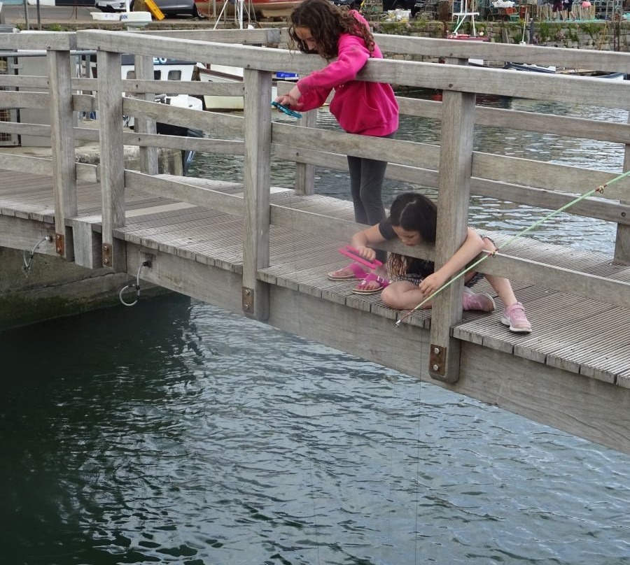 St Andrews Harbour Trust-圣安德鲁斯必去景点