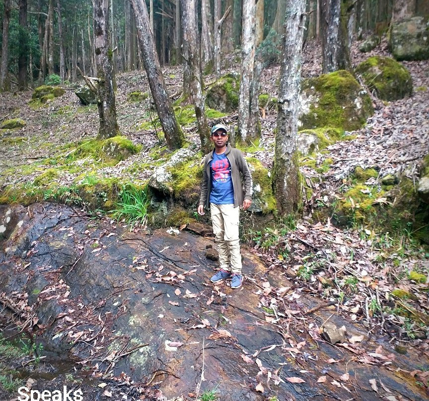 Hiking Bambarakanda to Horton Plains-Ohiya必去景点