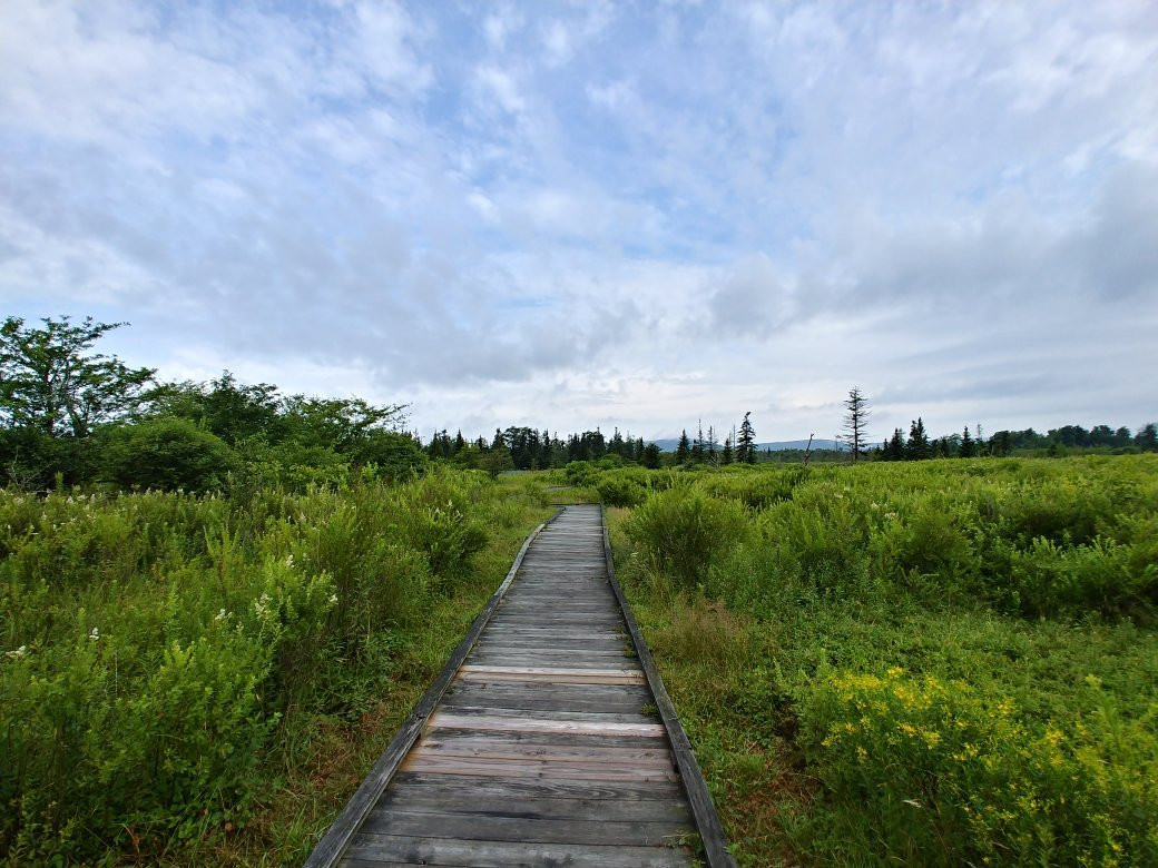 Canaan Valley National Wildlife Refuge景点图片