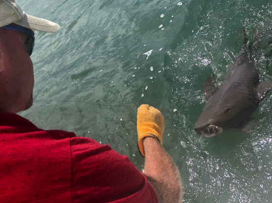 Nice Guy Charters-基韦斯特必去景点