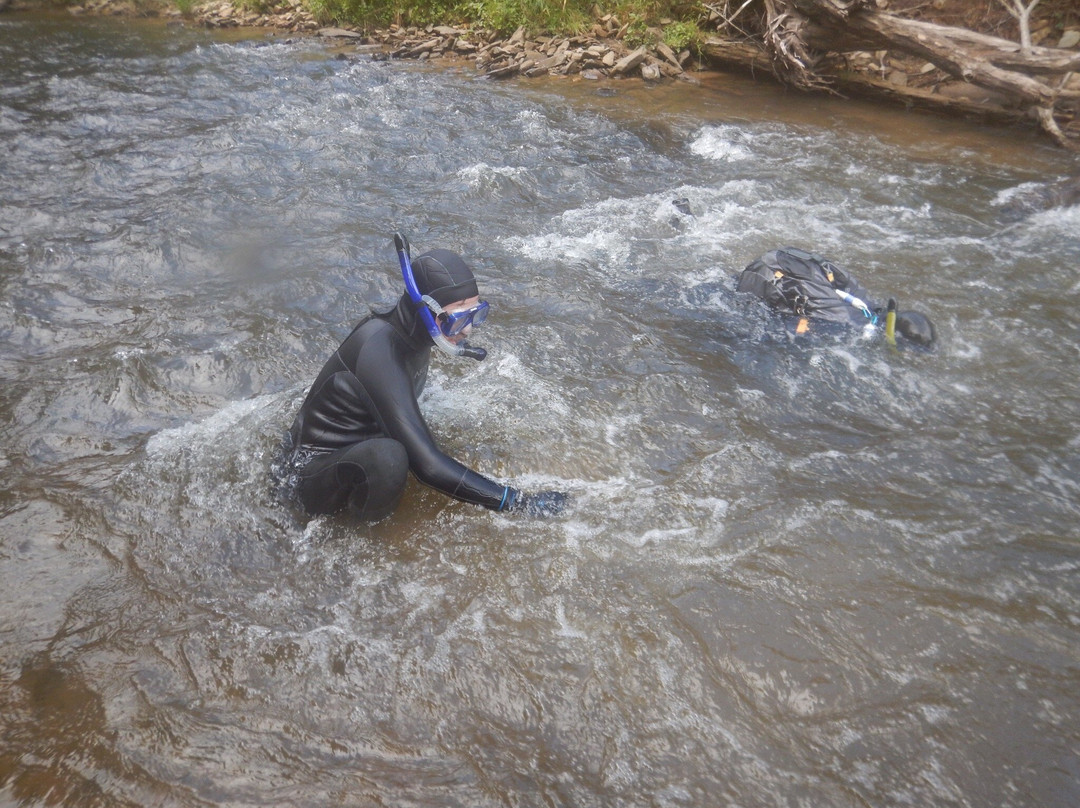 Oxbow River Snorkeling-Rosman必去景点