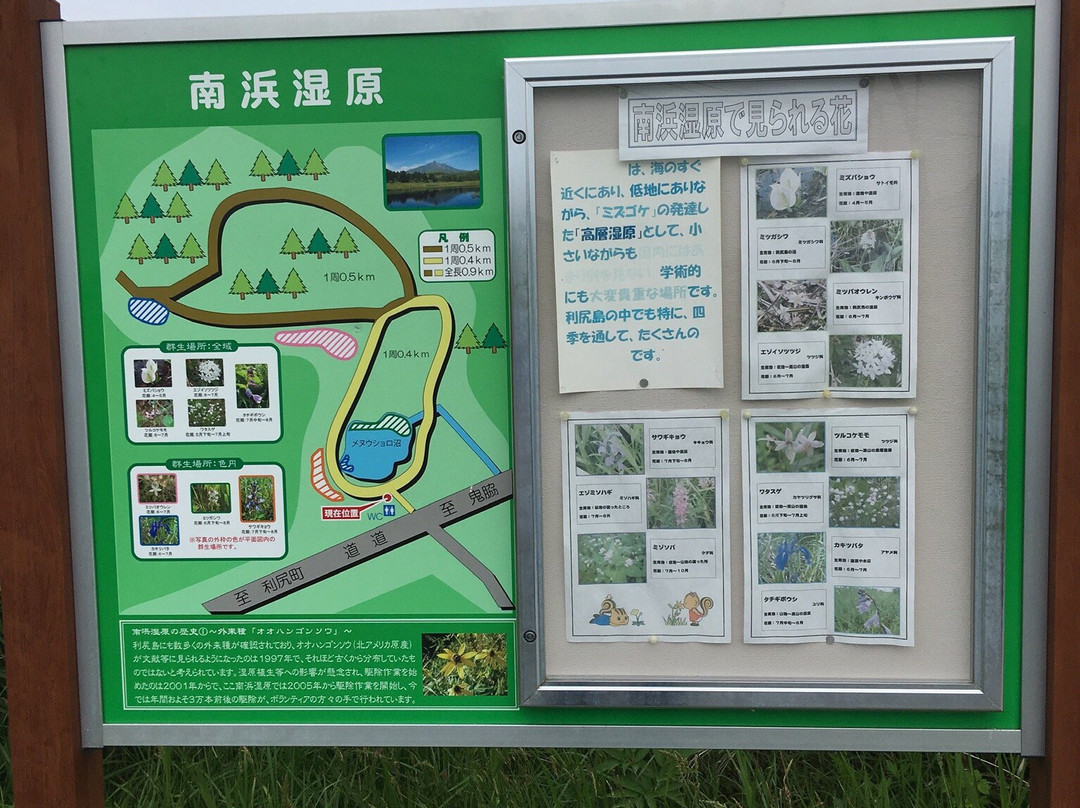 Minamihama Wetland-利尻富士町必去景点