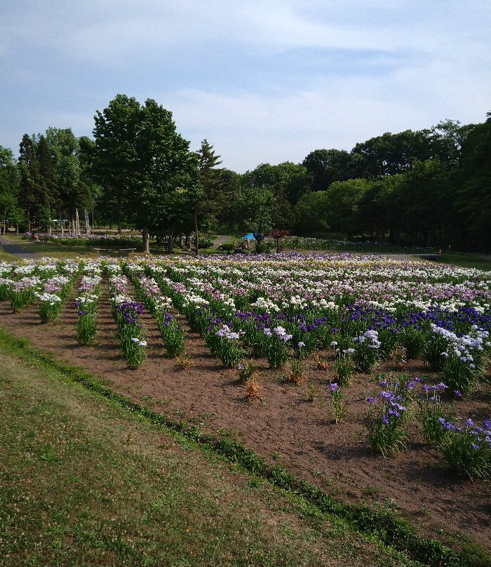 Ayame Park Fureaikan-岩见泽市必去景点