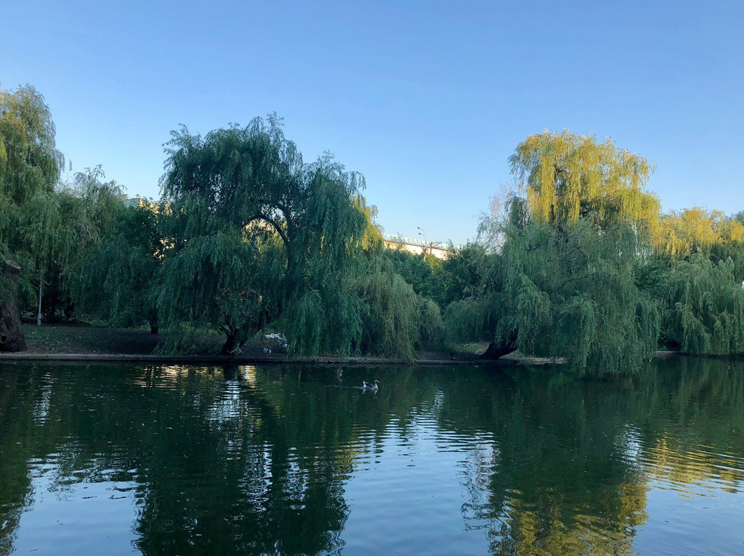 City Park of Culture and Leisure-克拉斯诺达尔必去景点