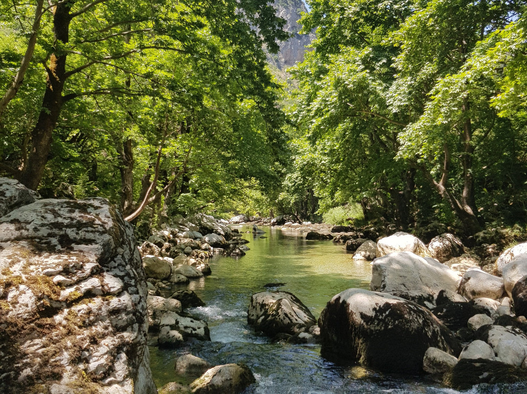 Vikos – Aoos National Park景点图片