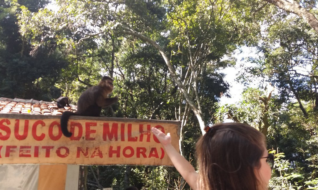 Fonte dos Desejos-Pocos de Caldas必去景点