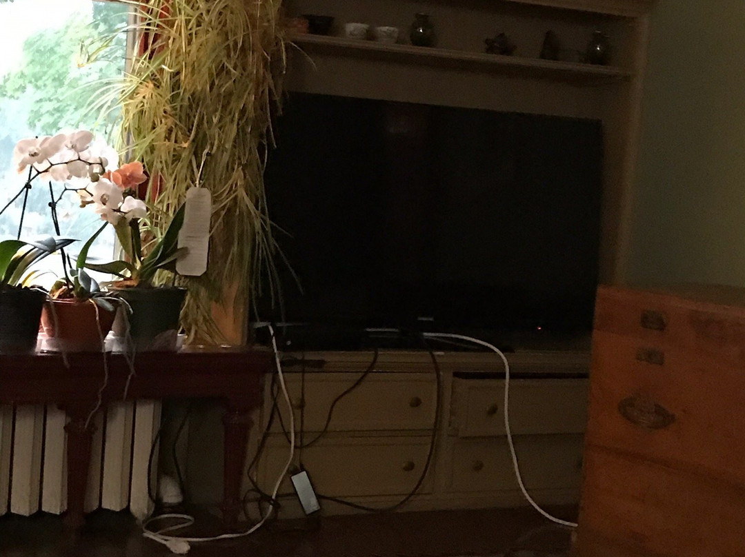 Saravilla Bed and Breakfast主图