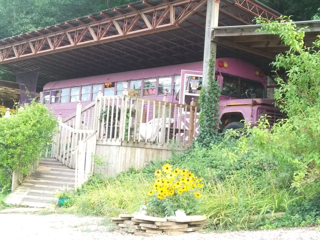 Ms. Be's Purple Bus-Ocoee必去景点