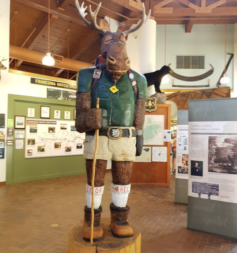 Franconia Falls-林肯必去景点